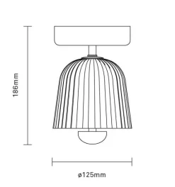 Asteea loftlampe, satin messing/riflet klar
