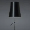 Birdie Lettura LED gulvlampe, grafit