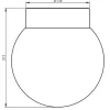 Classic Globe 200 loftlampe / væglampe IP44, hvid/blank opal