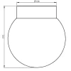 Classic Globe 200 loftlampe / væglampe IP44, sort/mat opal