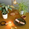 DANLAMP LED Globe de luxe gold 2W 920 100lm E27 Ø80