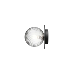Liila 1 medium væglampe / loftlampe, sort/klar