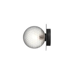 Liila 1 Outdoor væglampe / loftlampe, sort/klar