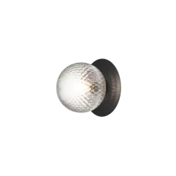Liila 1 Outdoor væglampe / loftlampe, sort/klar