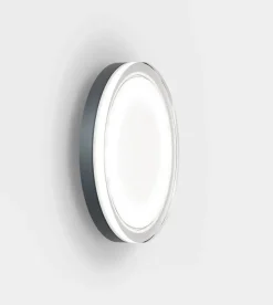 Lisc udendørs væglampe / loftlampe, antrasit