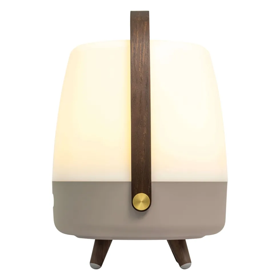 Lite-up Play 2.0 LED lampe m/JBL højtaler, earth (ny model)