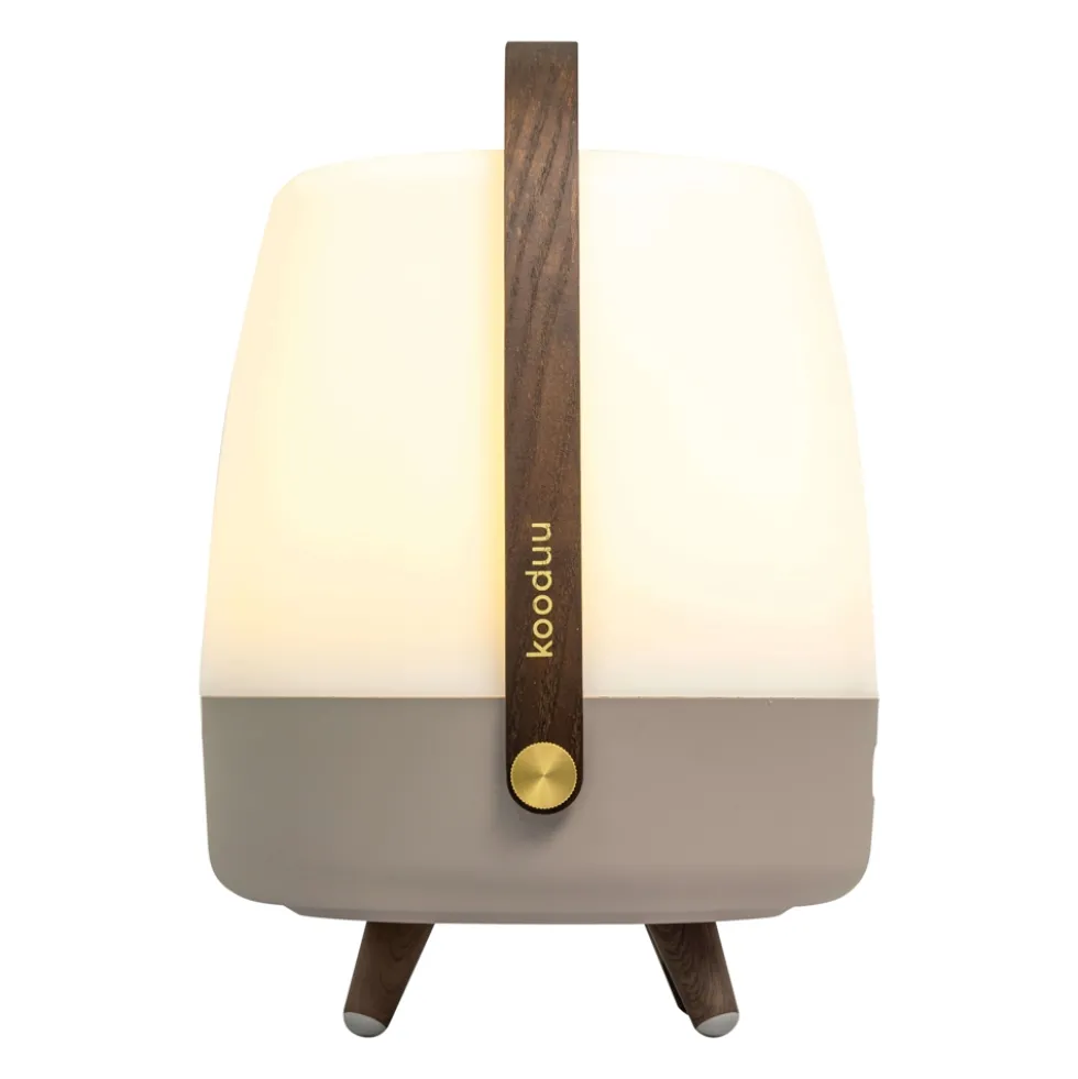Lite-up Play 2.0 LED lampe m/JBL højtaler, earth (ny model)