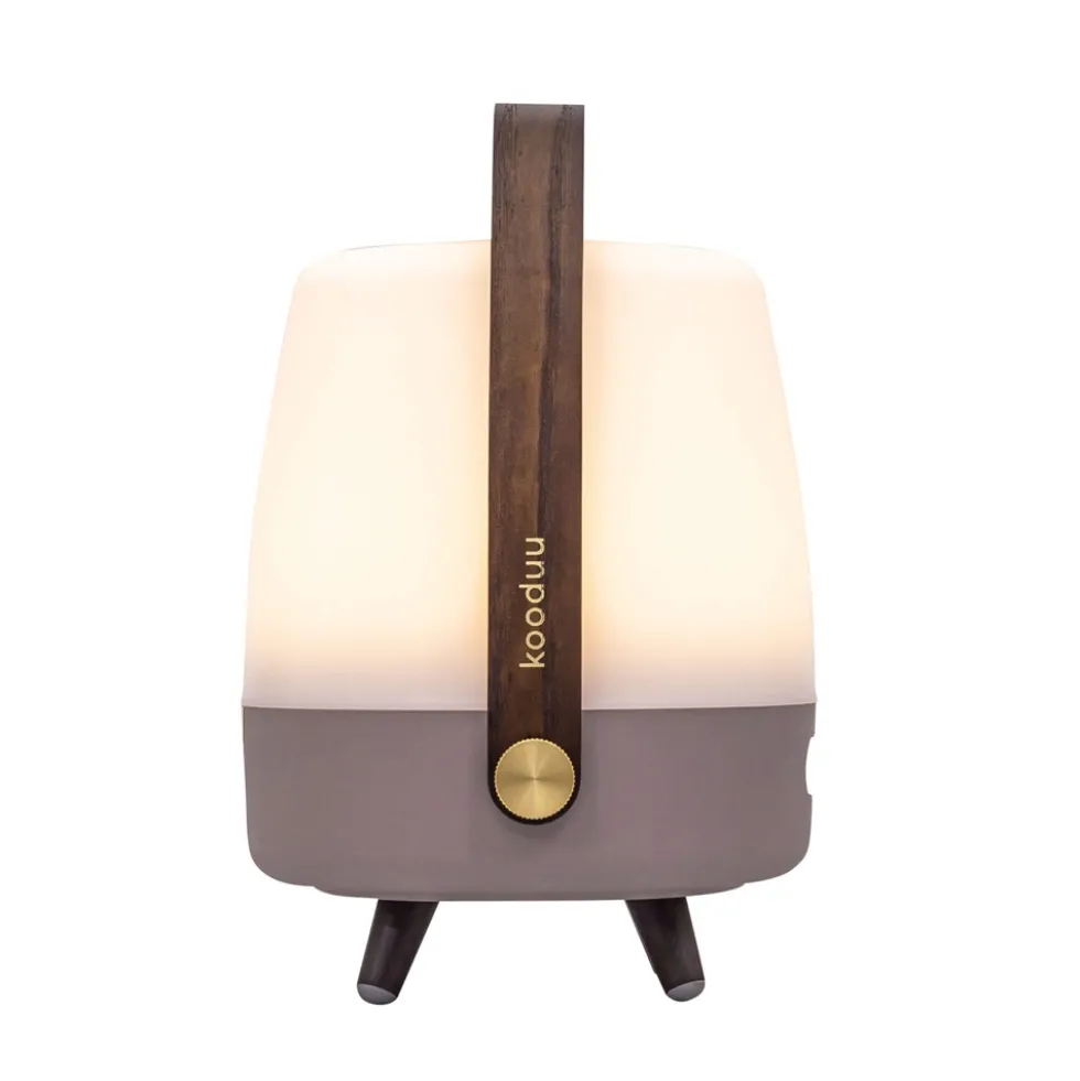 Lite-up Play Mini 2.0 LED lampe m/JBL højtaler, earth