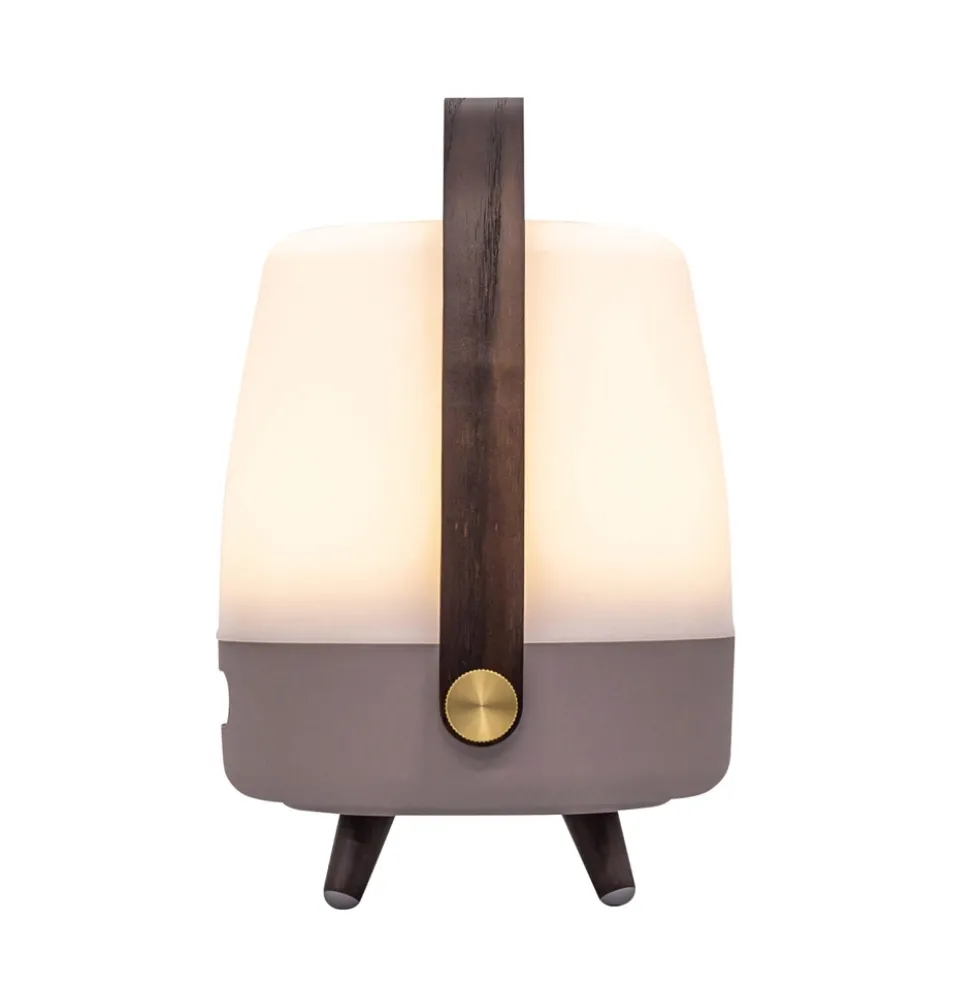 Lite-up Play Mini 2.0 LED lampe m/JBL højtaler, earth