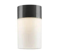 Opus 100/175 loftlampe / væglampe, grå