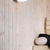 Opus 200/140 Sauna loftlampe / væglampe, grå