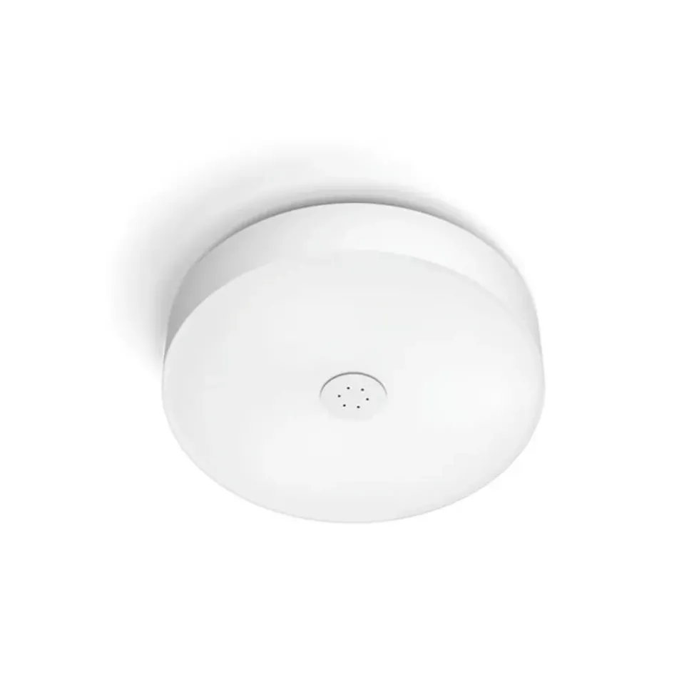 Philips Hue Fair hue loftlampe, hvid