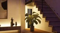 Philips Hue Solo lightstrip, RGBWW-LED (3 meter)