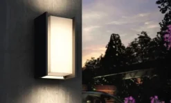 Philips Hue Turaco udendørs væglampe, antrasit