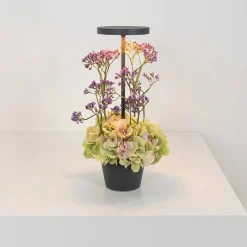 Poldina Reverso batterilampe / bordlampe, mørkegrå