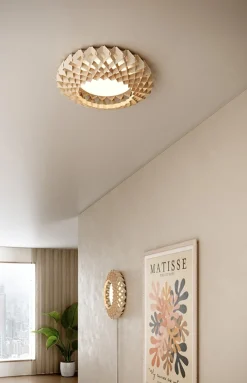 Signature 45 plafond loftlampe / væglampe, sort
