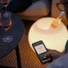 Sphere LED lampe m/højtaler & drinks køler, børstet sølv