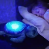 Tranquil Turtle, ocean (genopladelig)